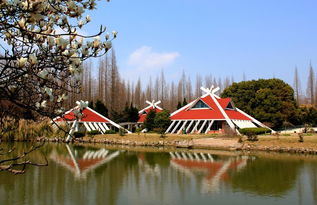 你距離 崇明攝影大師 只差這一篇文章......