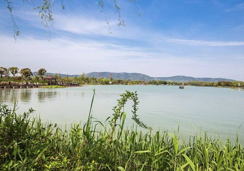 清明出游好去處 全國多景區免費開放，沙家浜成無錫游客優選