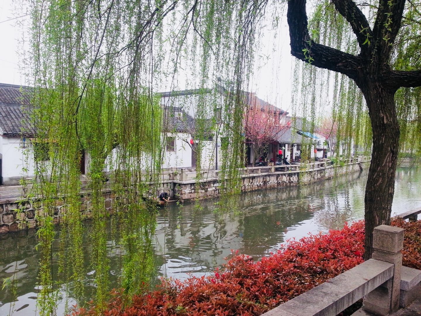 深度旅游沙家浜 從歷史深處走來的另一種體驗